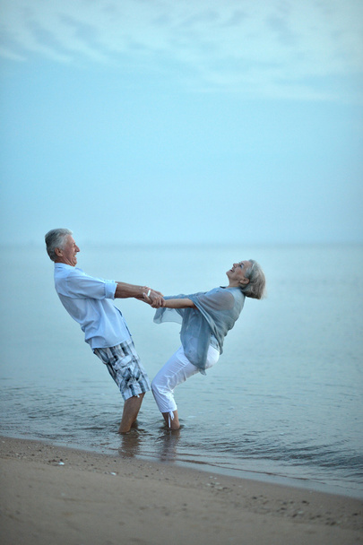 elderly couple  at tropical beach - Foto, Imagem