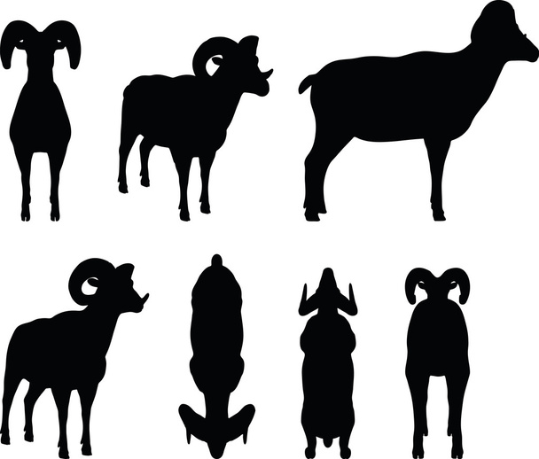 Силуэт большой рог овец в стоячей позе
 - Вектор,изображение