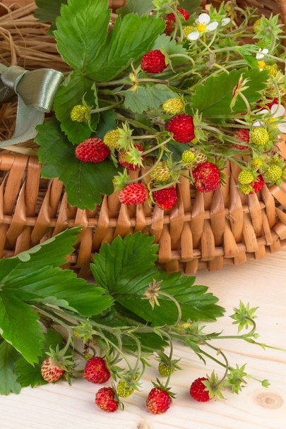 Wild strawberries in close up - Photo, Image