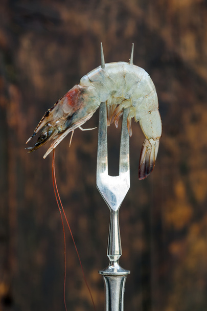 shrimp on an antique fork - 写真・画像