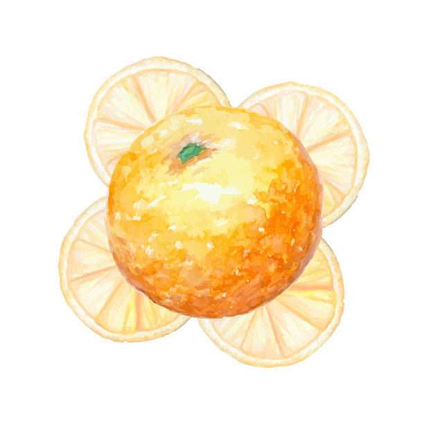 Akwarela, pomarańczowy biały - Wektor, obraz