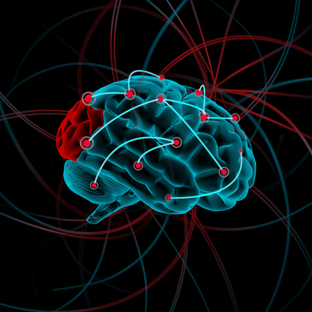 Brain illustration - Photo, Image