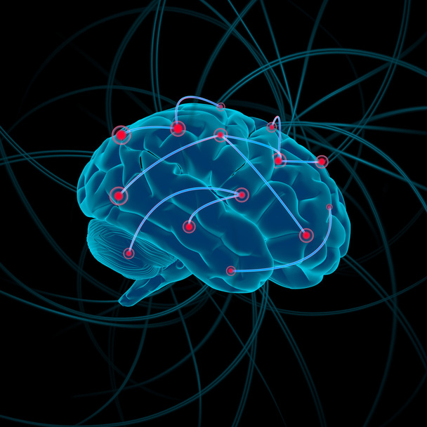 illustration du cerveau
 - Photo, image