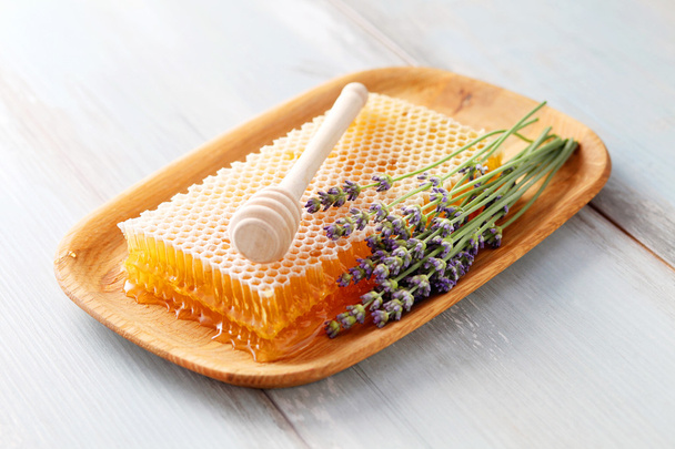 Honigwabe mit Lavendelblüten - Foto, Bild