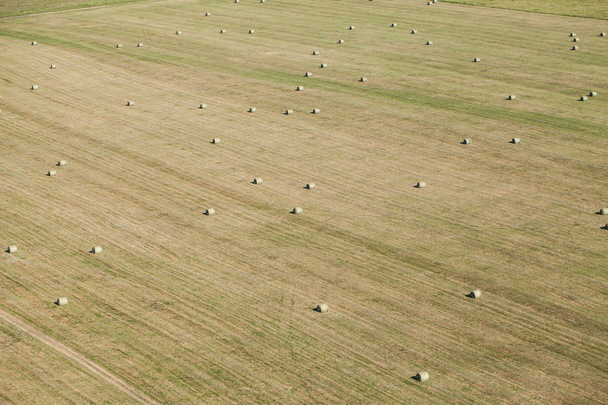 aerial view of hay bales on harvest field  - Φωτογραφία, εικόνα