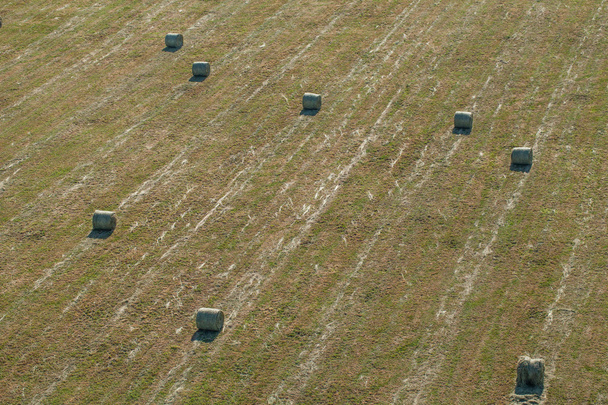 aerial view of hay bales on harvest field  - Photo, image