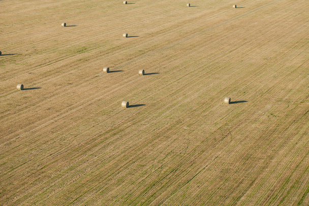 balles de foin sur le champ de récolte
 - Photo, image