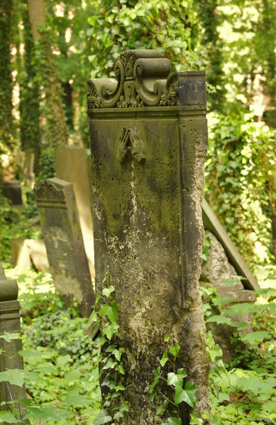 Old graveyard detail in Berlin - Photo, Image