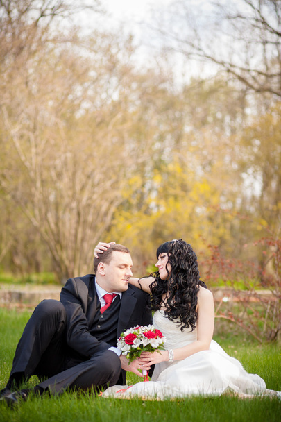 bride and groom sitting on the green grass - 写真・画像