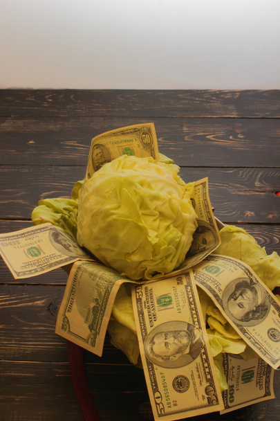 zelí s dolary - Fotografie, Obrázek