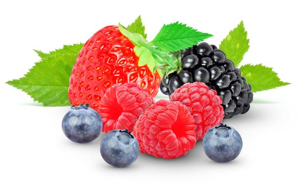 berries - Foto, Imagem