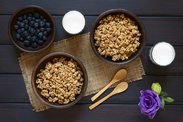 Desayuno Cereal con Arándanos y Leche
 - Foto, Imagen