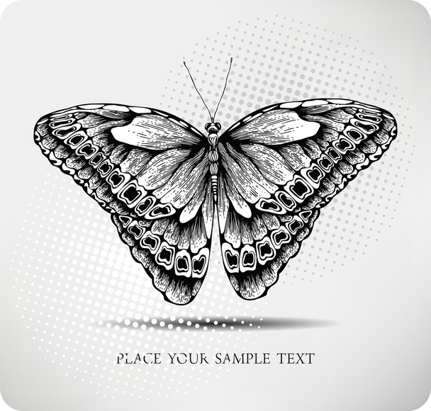 Butterfly hand drawing. vector - Vecteur, image