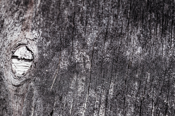 Abstract, Texture  wood pannels on wall background - Fotografie, Obrázek