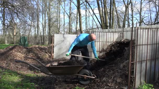 熊手を持つ農夫男は、手押し車に堆肥の腐植を掘る。4 k - 映像、動画