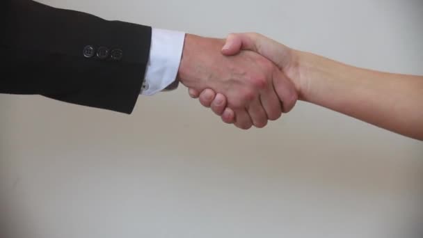 Businesswoman and businessman shaking hands - Filmmaterial, Video