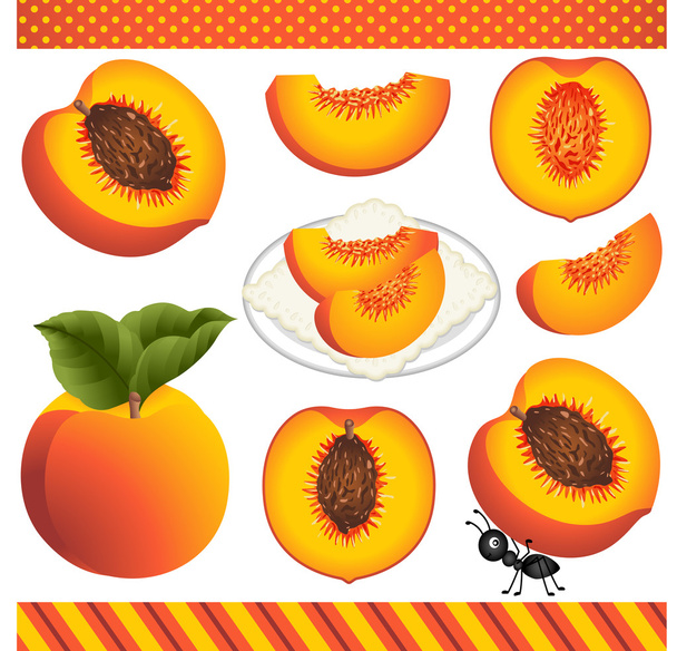 Peach Digital Clipart - Vector, Image