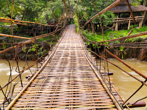 κρεμαστή γέφυρα στη ζούγκλα - Φωτογραφία, εικόνα