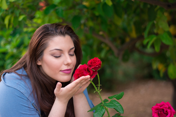 a rózsa illatú - Fotó, kép