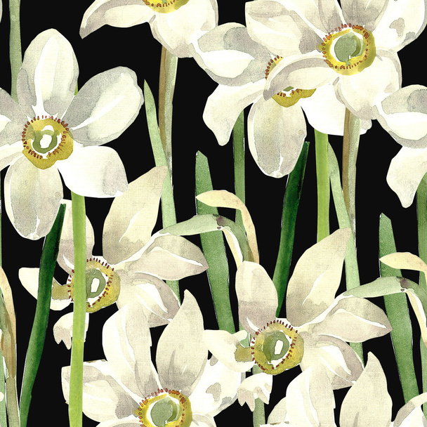 Narcissus seamless pattern - Фото, зображення