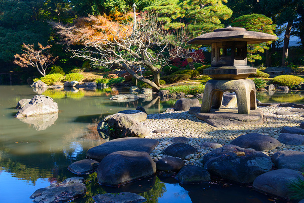 Syksyn lehdet Kyu-Furukawa Gardensissa, Tokiossa
 - Valokuva, kuva