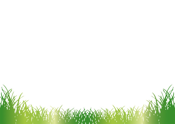 Green grass - Foto, afbeelding