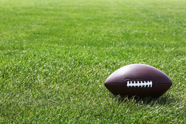 Rögbi labda a zöld mezőn - Fotó, kép