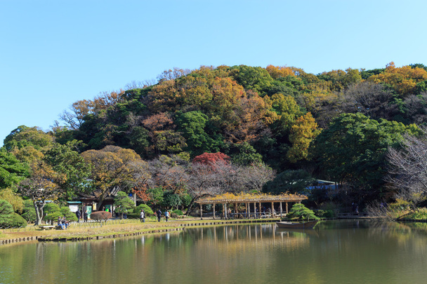 Podzimní listí v zahrada Sankeien, Yokohama, Kanagawa, Japonsko - Fotografie, Obrázek