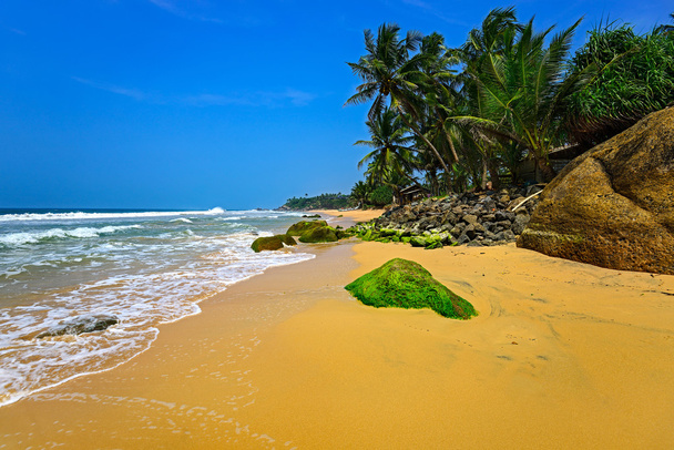  Sri Lanka
 - Foto, Imagen