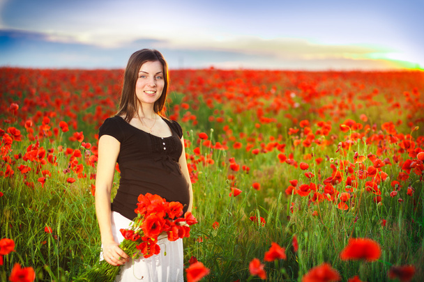 макове поле, вагітна живіт
 - Фото, зображення