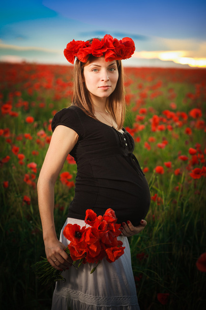 Campo di papavero incinta
 - Foto, immagini