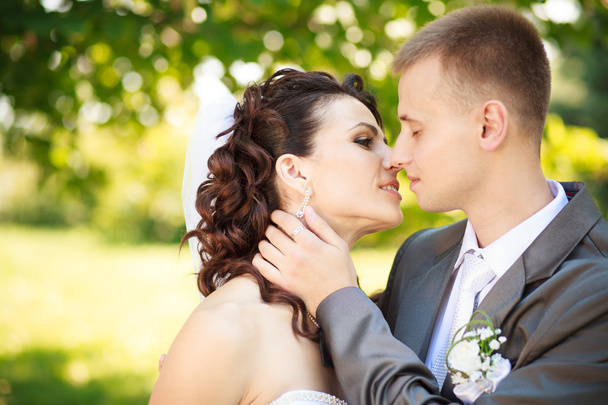 Lo sposo bacia la sposa
 - Foto, immagini