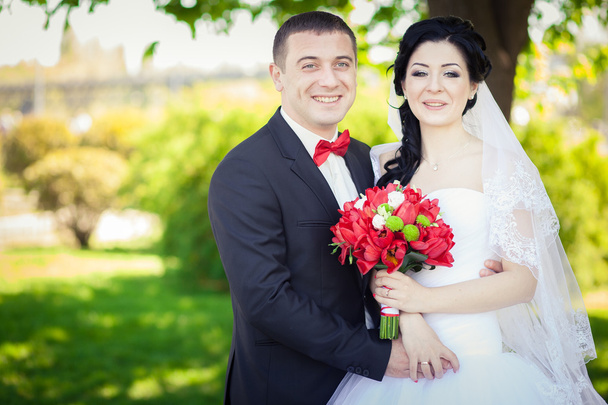Λεπτομέριες γάμου κόκκινο - Φωτογραφία, εικόνα