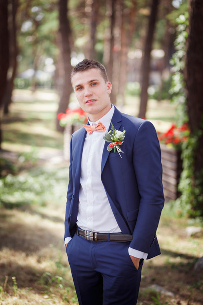 stylish groom - Zdjęcie, obraz