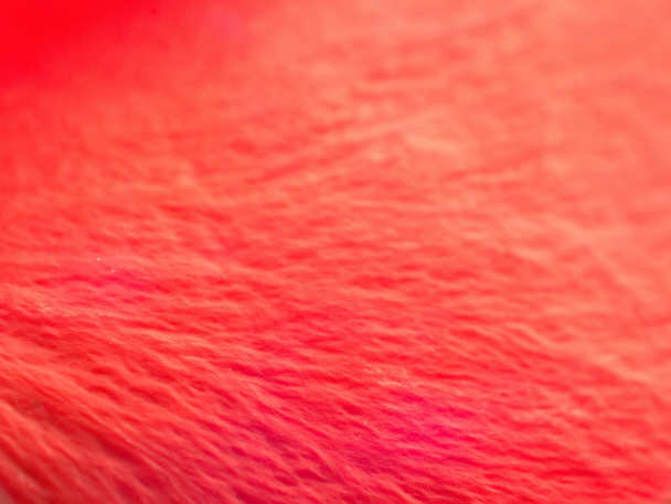 Pétalos de rosa roja
 - Foto, imagen
