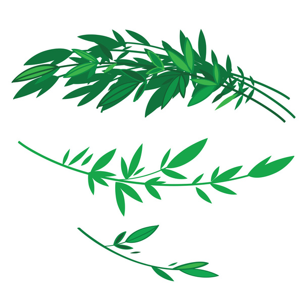 green herb leaves - Vektor, obrázek