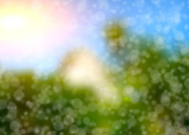 Soft and blurred bokeh background - Photo, Image
