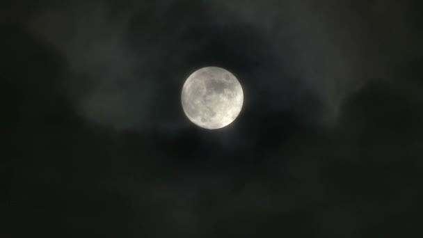 Full moon on a cloudy night. - Footage, Video