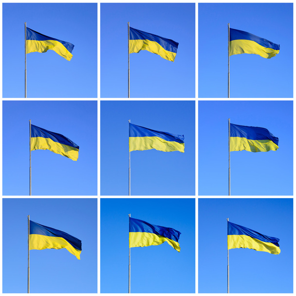 Bandeira ucraniana - Foto, Imagem