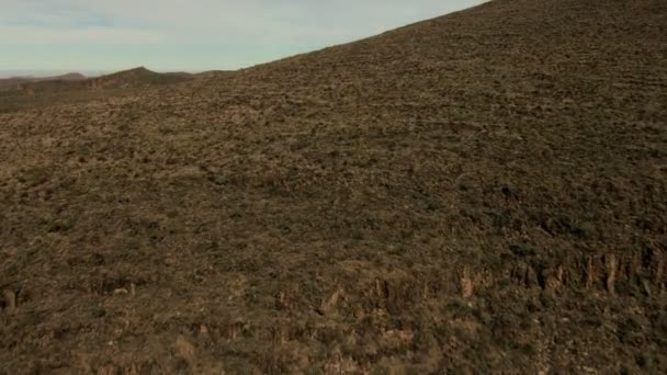 Antenne baja kalifornien wüste wildnis - Filmmaterial, Video