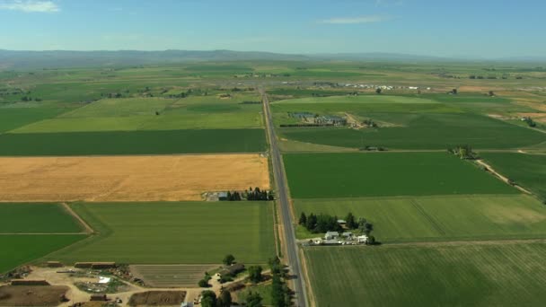 Luchtfoto Usa Idaho landbouw gewassen vegetatie plant veld boerderij - Video