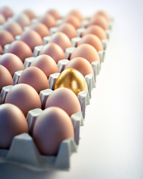 Złote jajo w pole - pojęcie wartości w biznesie - Zdjęcie, obraz