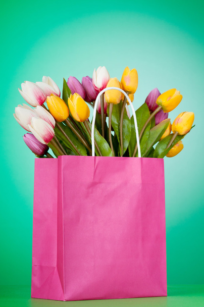 tulipány v sáčku proti barevných přechodů - Fotografie, Obrázek