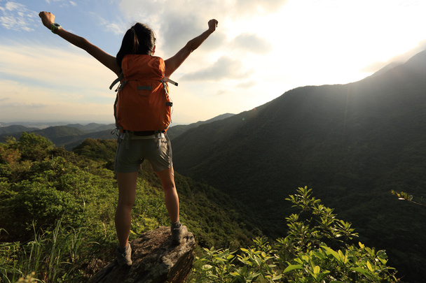 Juichende vrouw wandelaar met open armen aan berg piek klif - Foto, afbeelding