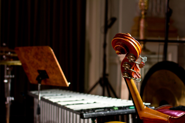 Percussie-instrumenten in een kamer hal. Drums. Marimba. Bass. Jazz. intieme verlichting - Foto, afbeelding