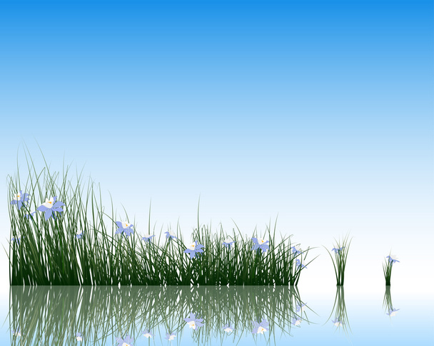 Virágok, a fű, a víz - Vektor, kép