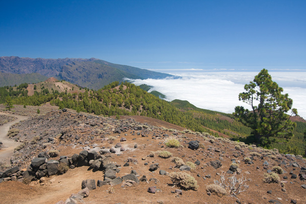 Volcanic landscape of La Palma, Canary Islands - Foto, Imagen