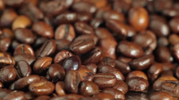 Coffee beans - Footage, Video