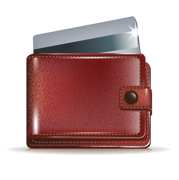 portfel z karty kredytowej wewnątrz - Wektor, obraz