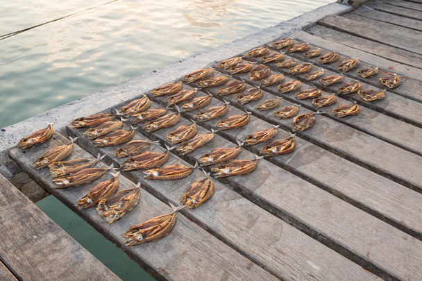 Τροπικά ψάρια ξεραίνοντας τη σε μια ξύλινη προβλήτα - Φωτογραφία, εικόνα